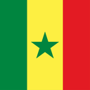 The Flag of Senegal Square