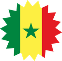 The Flag of Senegal Star Burst