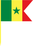 The Flag of Senegal V Cut