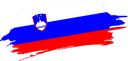 The Flag of Slovenia Brushed