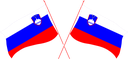 The Flag of Slovenia Crossed Flags