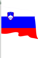 The Flag of Slovenia Pole Flag II