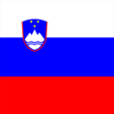 The Flag of Slovenia Square