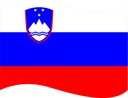 The Flag of Slovenia Wavy I