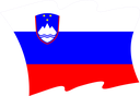 The Flag of Slovenia Wavy II