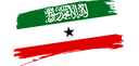 The Flag of Somaliland Brushed