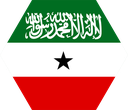 The Flag of Somaliland Hexagon I