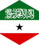 The Flag of Somaliland Hexagon II