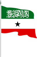 The Flag of Somaliland Pole Flag II