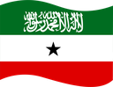The Flag of Somaliland Wavy I