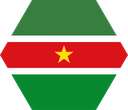 The Flag of Suriname Hexagon I