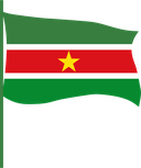 The Flag of Suriname Pole Flag III
