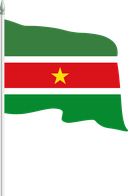The Flag of Suriname Pole Flag II