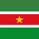 The Flag of Suriname Square