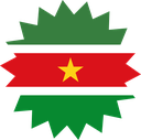 The Flag of Suriname Star Burst