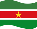 The Flag of Suriname Wavy I
