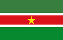 The Flag of Suriname