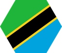 The Flag of Tanzania Hexagon I