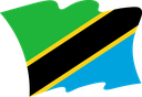 The Flag of Tanzania Wavy II