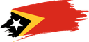 The Flag of Timor Leste Brushed