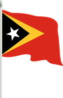 The Flag of Timor Leste Pole Flag II