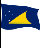 The Flag of Tokelau Pole Flag III