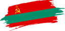 The Flag of Transnistria Brushed