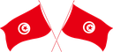 The Flag of Tunisia Crossed Flags