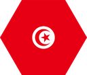 The Flag of Tunisia Hexagon I