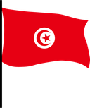 The Flag of Tunisia Pole Flag III