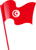 The Flag of Tunisia Pole Flag I