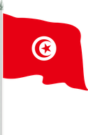 The Flag of Tunisia Pole Flag II