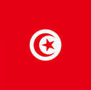 The Flag of Tunisia Square