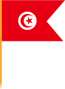 The Flag of Tunisia V Cut