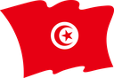 The Flag of Tunisia Wavy II