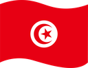 The Flag of Tunisia Wavy I