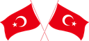 The Flag of Turkey Crossed Flags