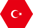 The Flag of Turkey Hexagon I