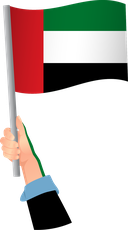 The Flag of United Arab Emirates Handheld