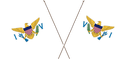 The Flag of United States Virgin Islands Crossed Flags