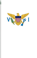 The Flag of United States Virgin Islands Pole Flag II