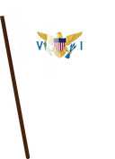 The Flag of United States Virgin Islands Pole Flag I