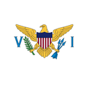 The Flag of United States Virgin Islands Shielded I