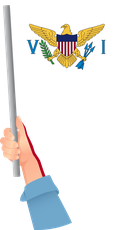 The Flag of United States Virgin Islands Handheld