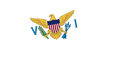 The Flag of United States Virgin Islands Brushed