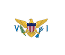 The Flag of United States Virgin Islands Hexagon I