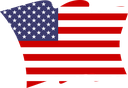 The Flag of United States Wavy II