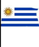 The Flag of Uruguay Pole Flag III