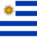 The Flag of Uruguay Square