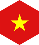 The Flag of Vietnam Hexagon II